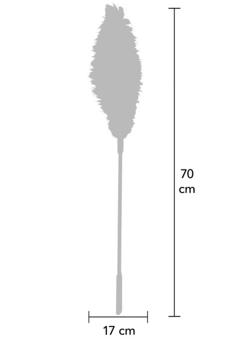 Double Feather Tickler Black Hidden Desire