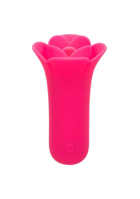 Lily Licker Mini Flower Flicker CalExotics