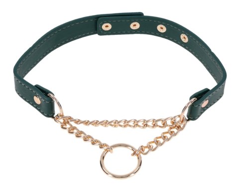 Day Collar Sportsheets