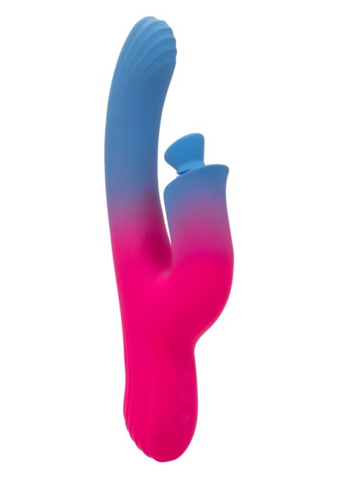 Dual Stimulator Suction Vibrator CalExotics