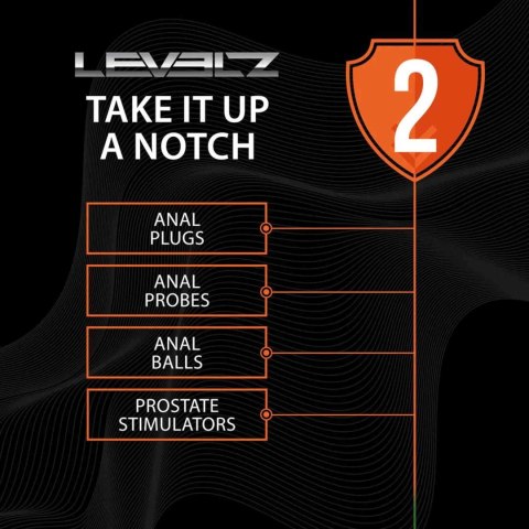 Double Rattle Liquid Silicone Anal Plug - M - Black Levelz