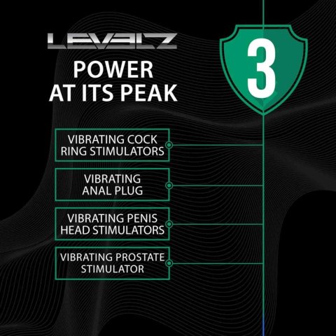 Vibrating Silicone Prostate Stimulator Anal Plug - S - Black Levelz